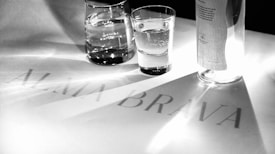 Black and white image featuring a glass of water and a bottle on a tabletop. The surface has the text 'ALMA BRAVA' with light creating shadows.