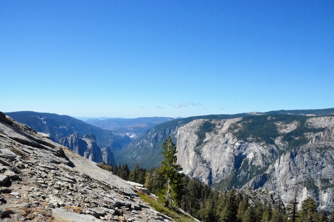 green trees on rocky mountain under blue sky during daytime