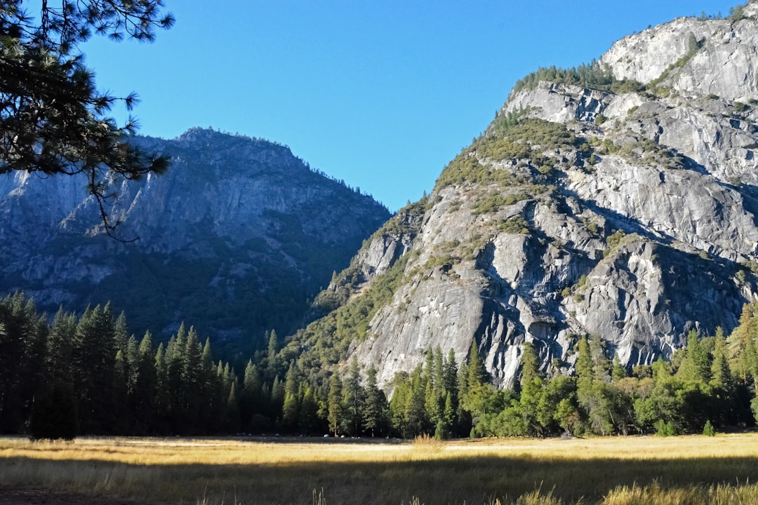 green trees near mountain under blue sky during daytime