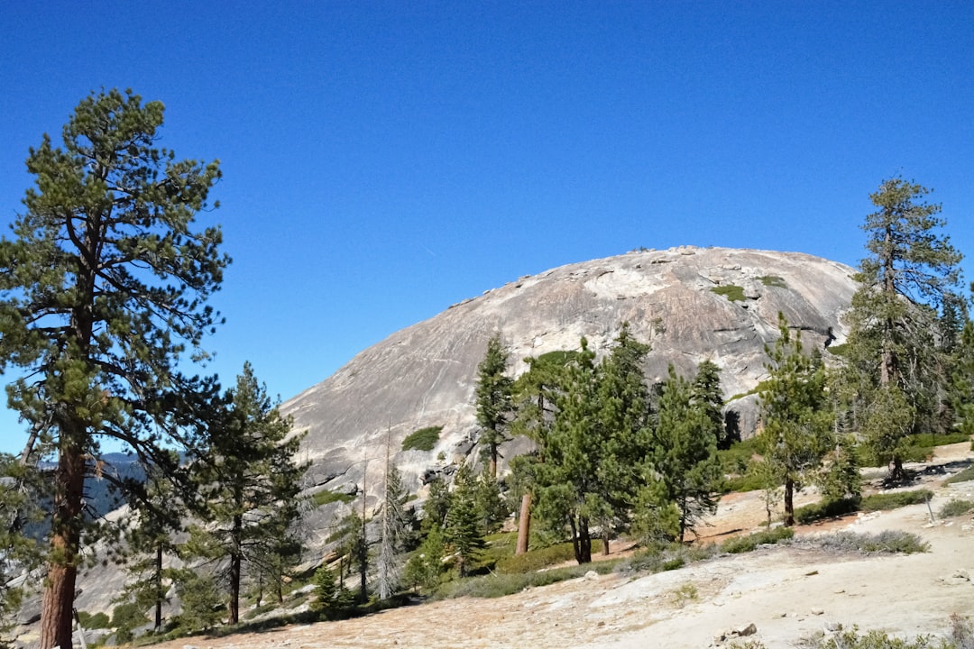 green trees near mountain under blue sky during daytime