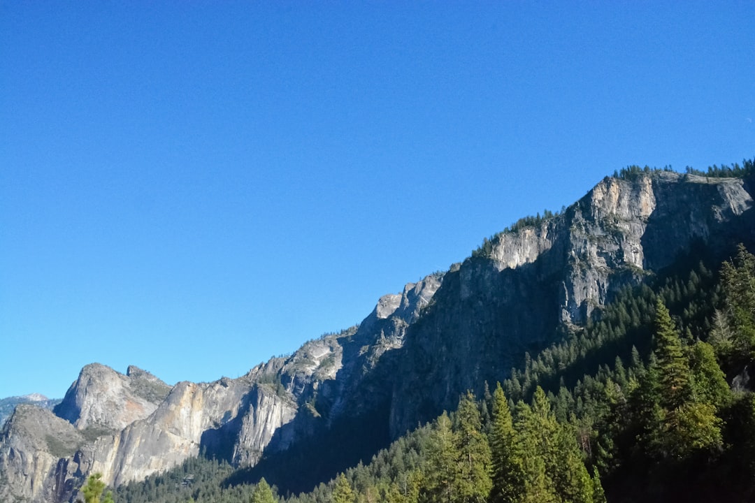 green trees near mountain under blue sky during daytime