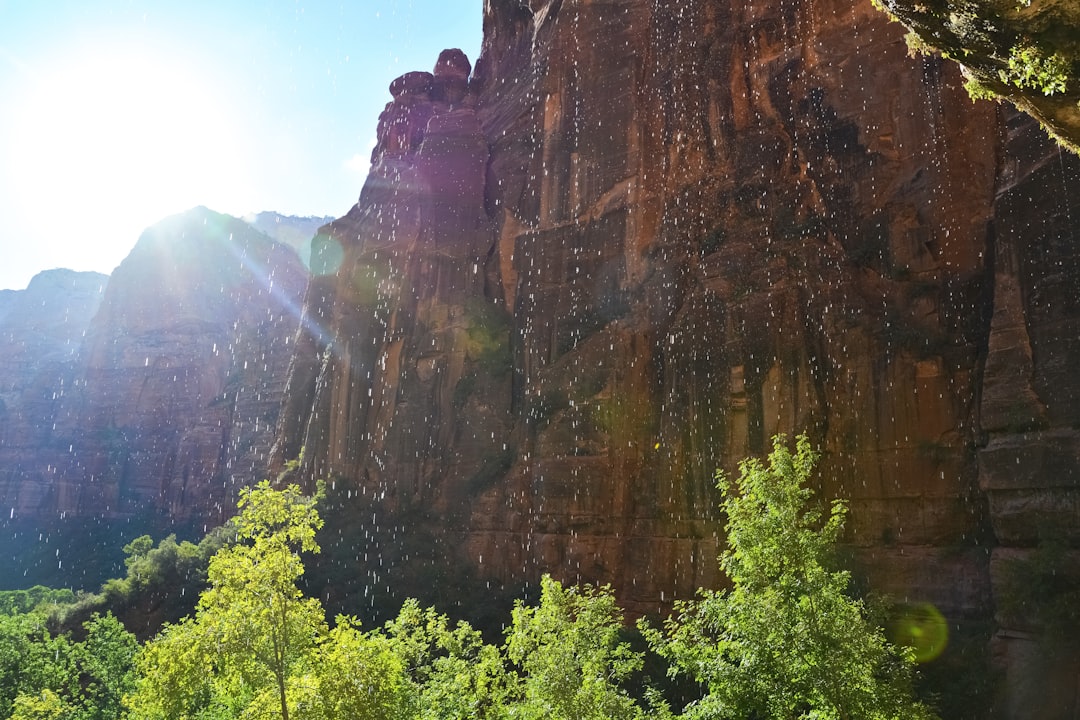 brown rocky mountain with green trees during daytime