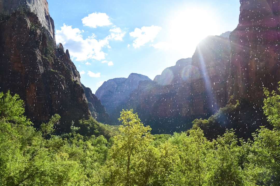 green trees on mountain under blue sky during daytime