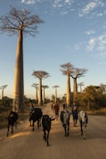 madagascar hiking sailing adventure