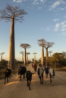 people walking on street near brown concrete tower during daytime
