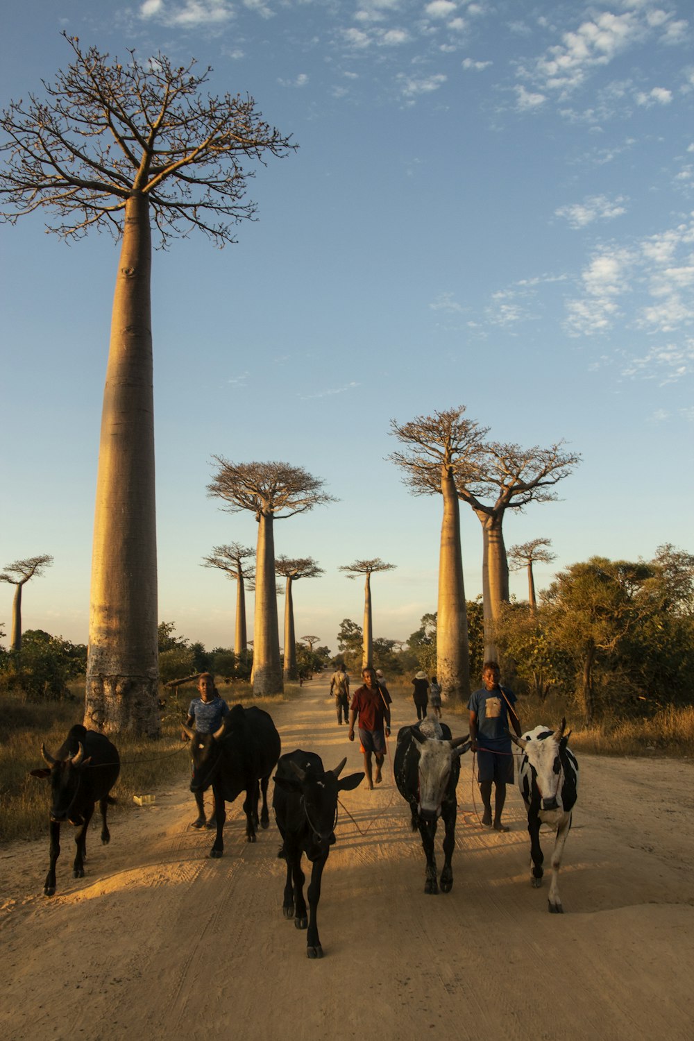 people walking on street near brown concrete tower during daytime