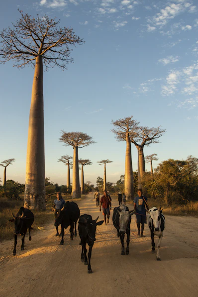 people walking on street near brown concrete tower during daytime
