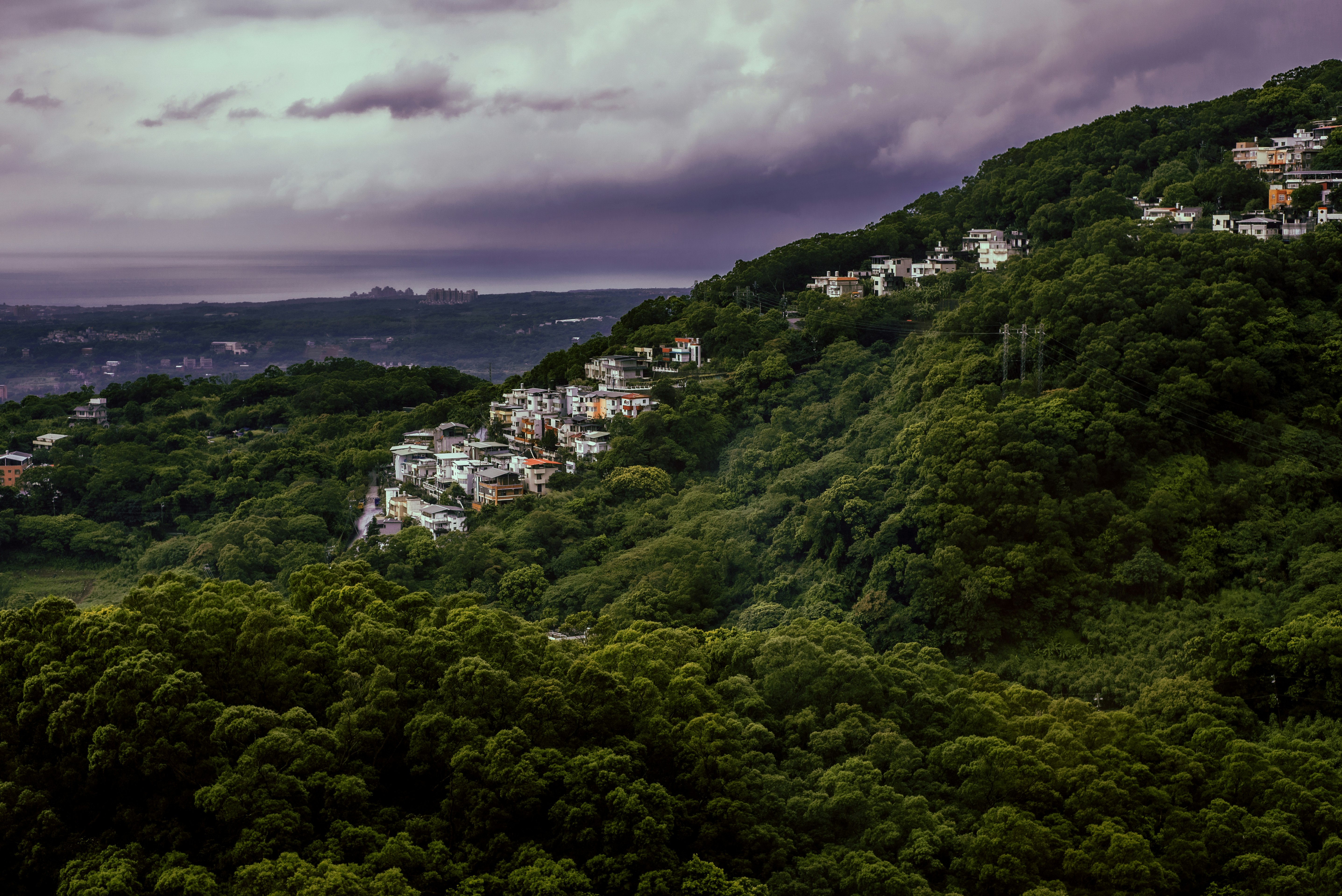 green trees and houses under cloudy sky during daytime