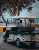 A family enjoying a ride in an electric car on resort grounds.