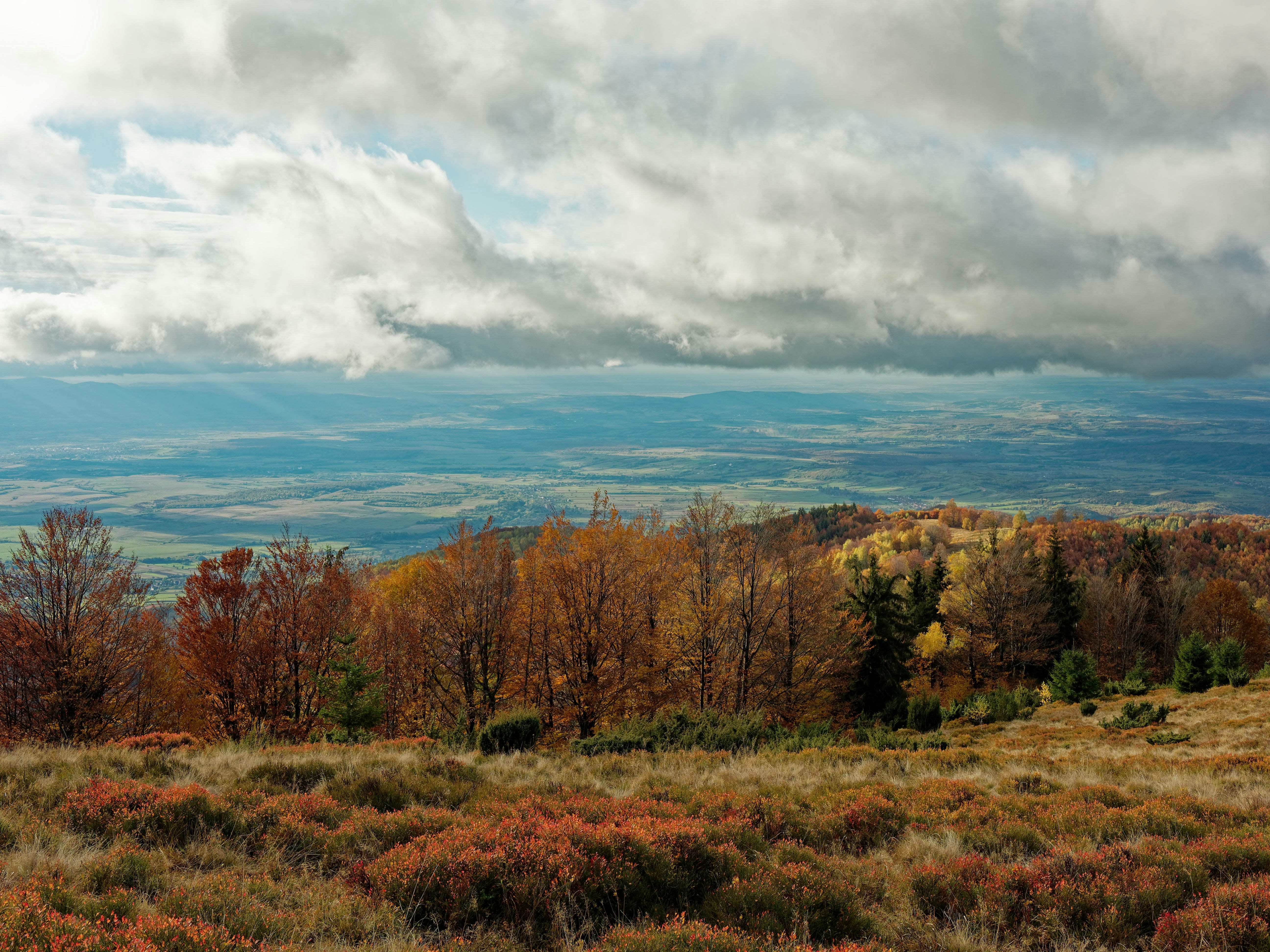 Photo by illes_cristi