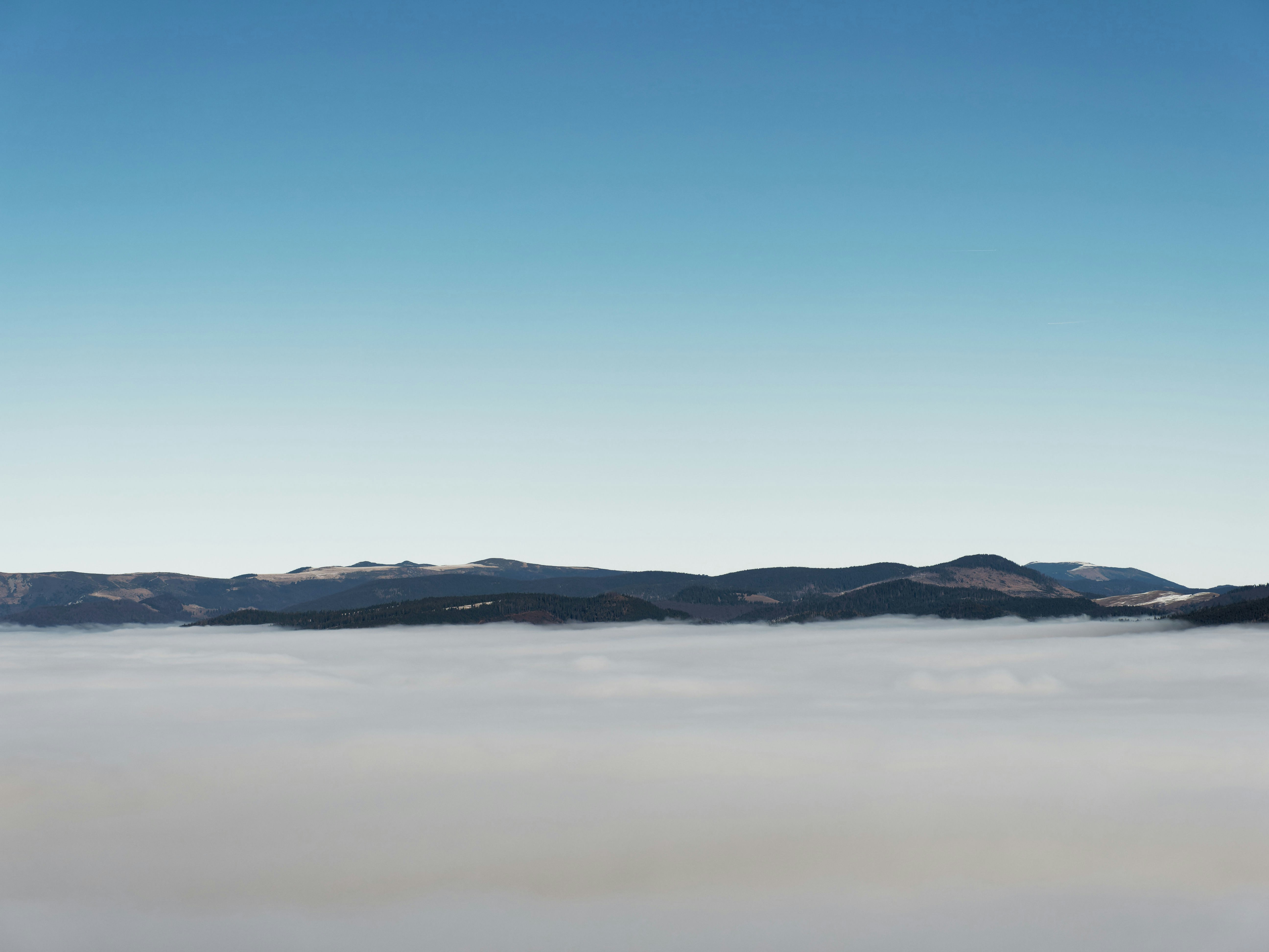 Photo by illes_cristi