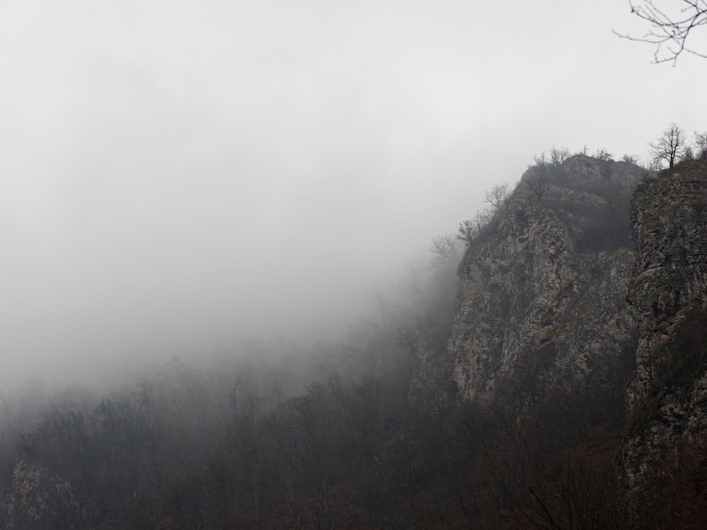 alberi verdi sulla montagna durante la giornata nebbiosa