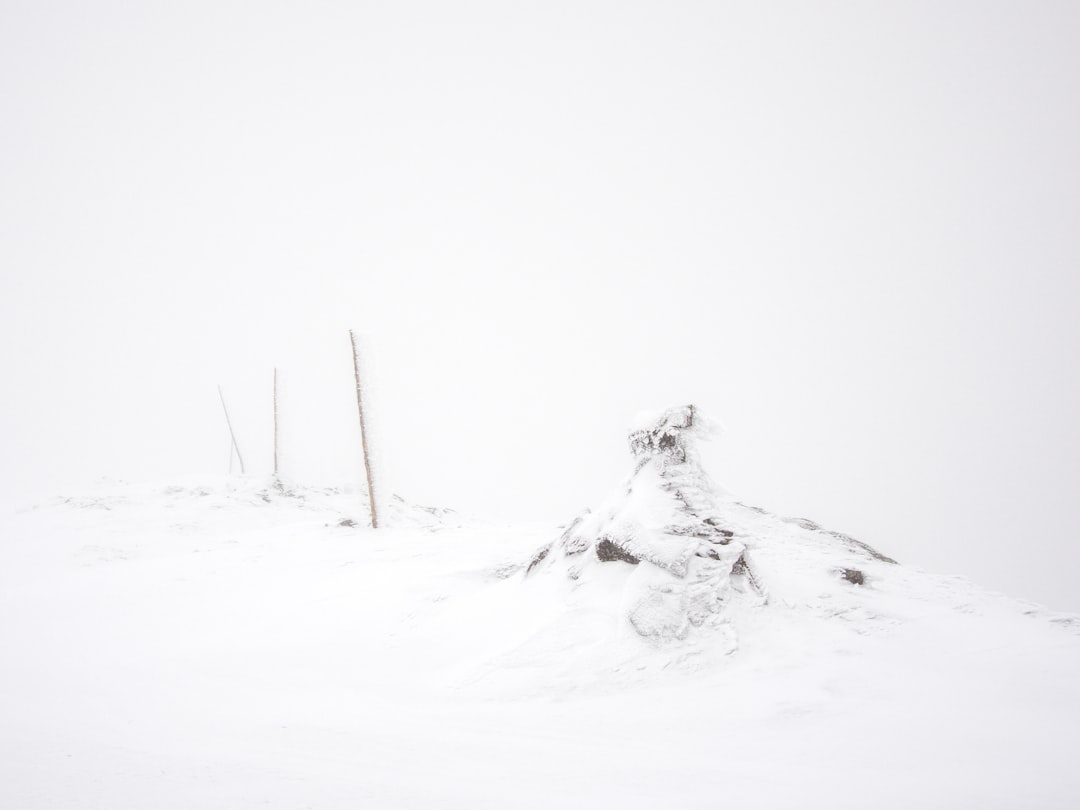 person in black jacket and pants lying on snow covered ground