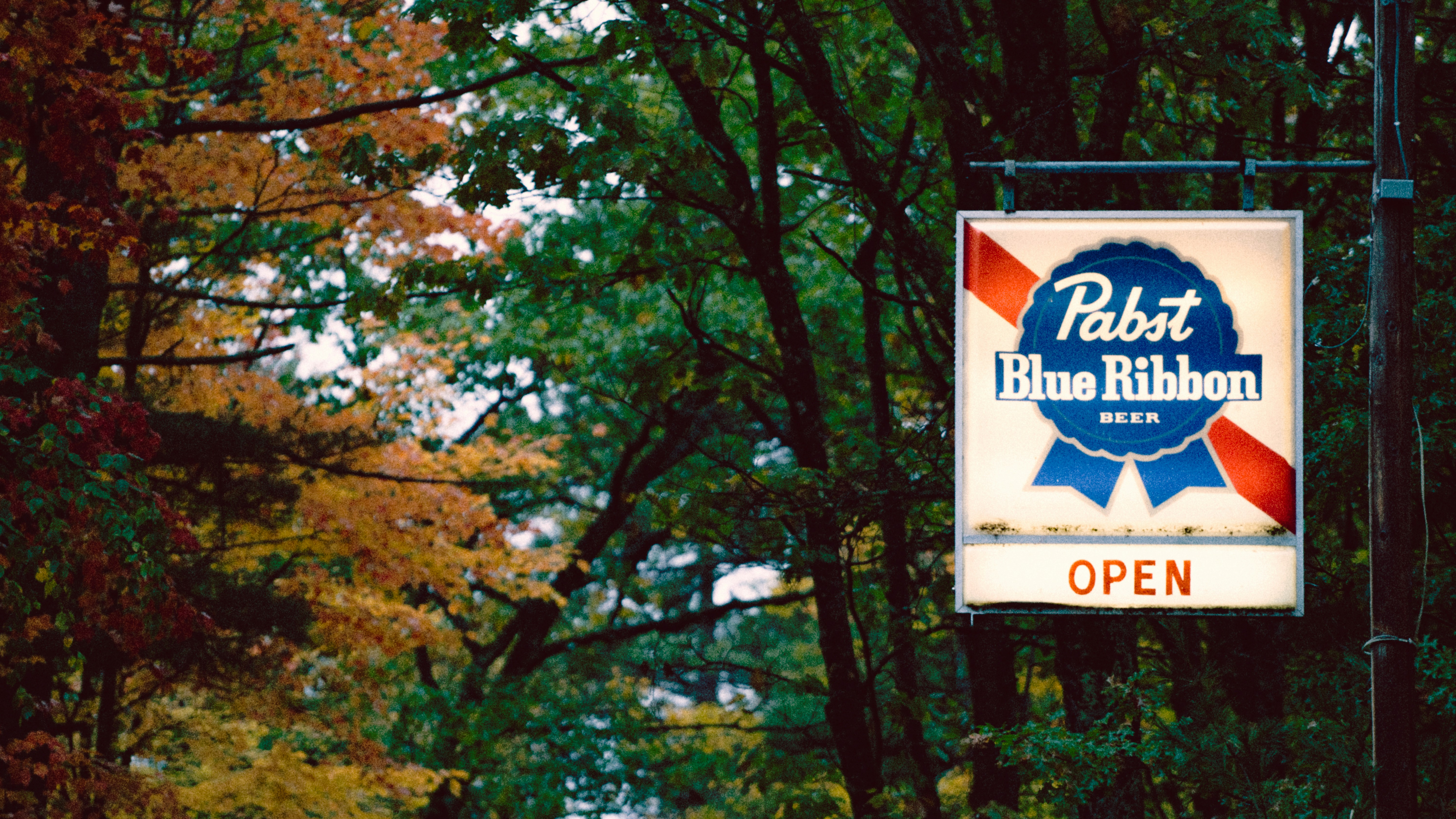 a sign in front of a tree