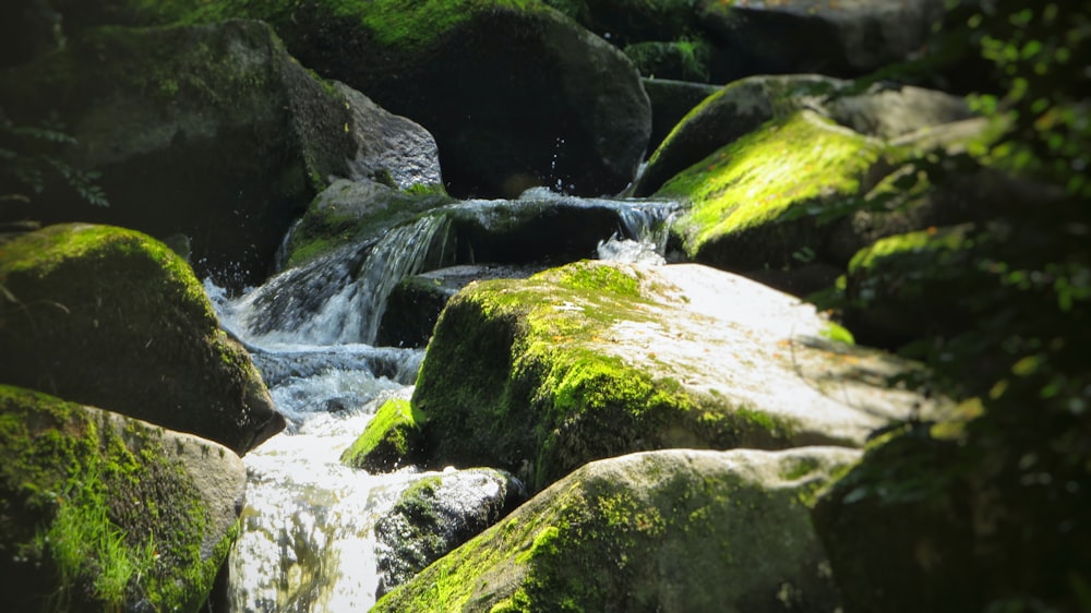 water falls on gray rock