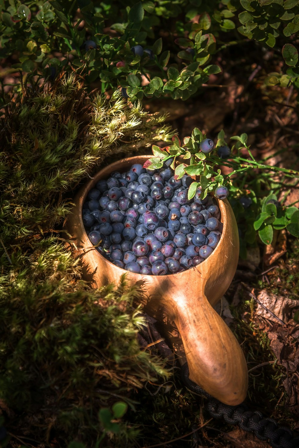 blue berries on brown wooden spoon