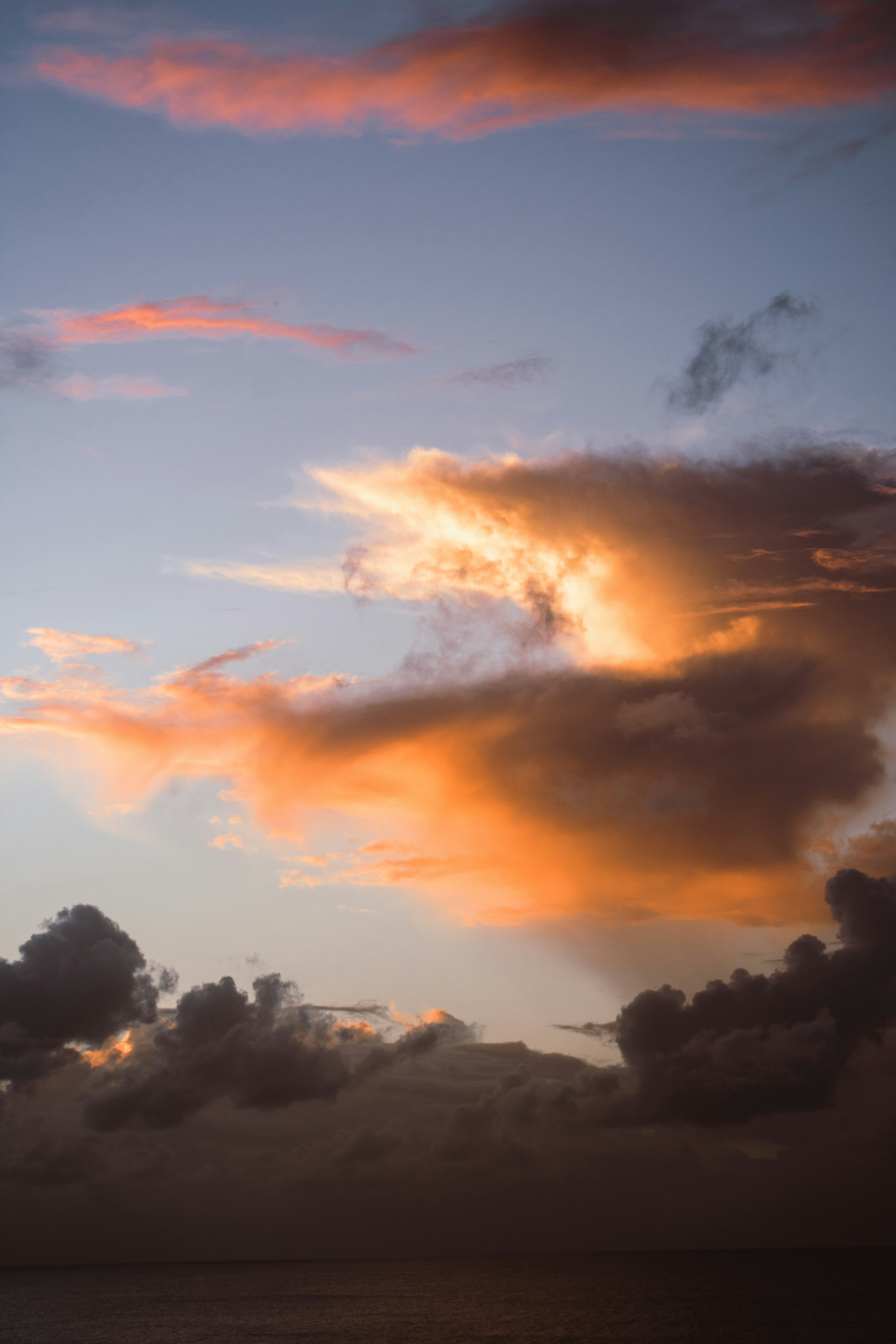 Silhouette von Bäumen unter bewölktem Himmel bei Sonnenuntergang