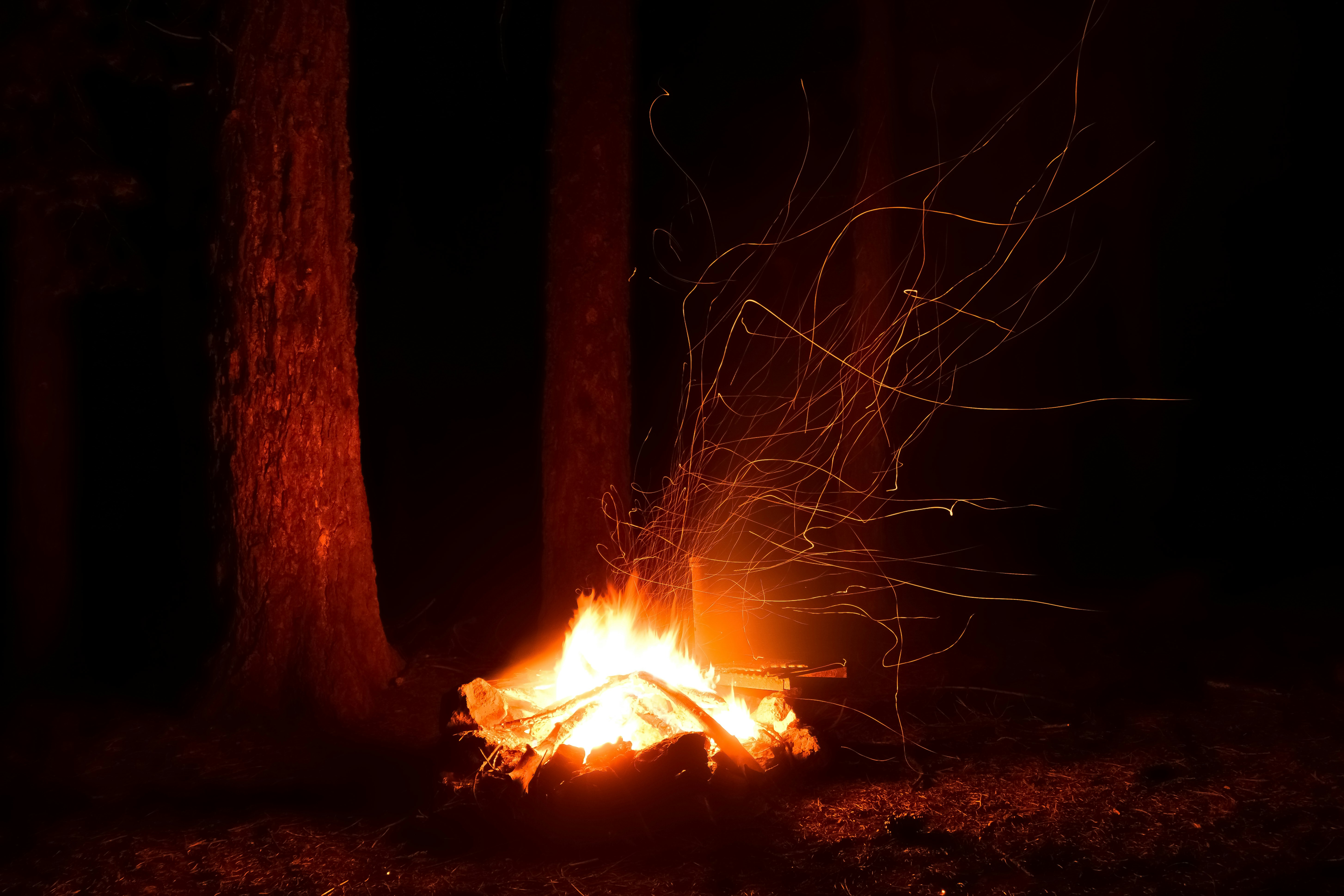 bonfire in forest during night time