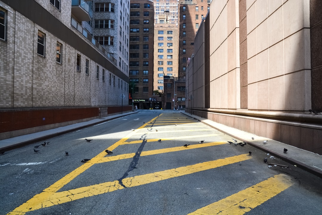 gray and yellow pedestrian lane