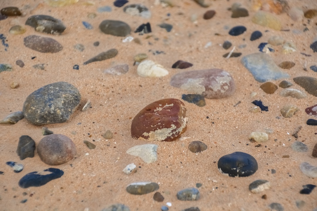 brown and black stones on brown sand