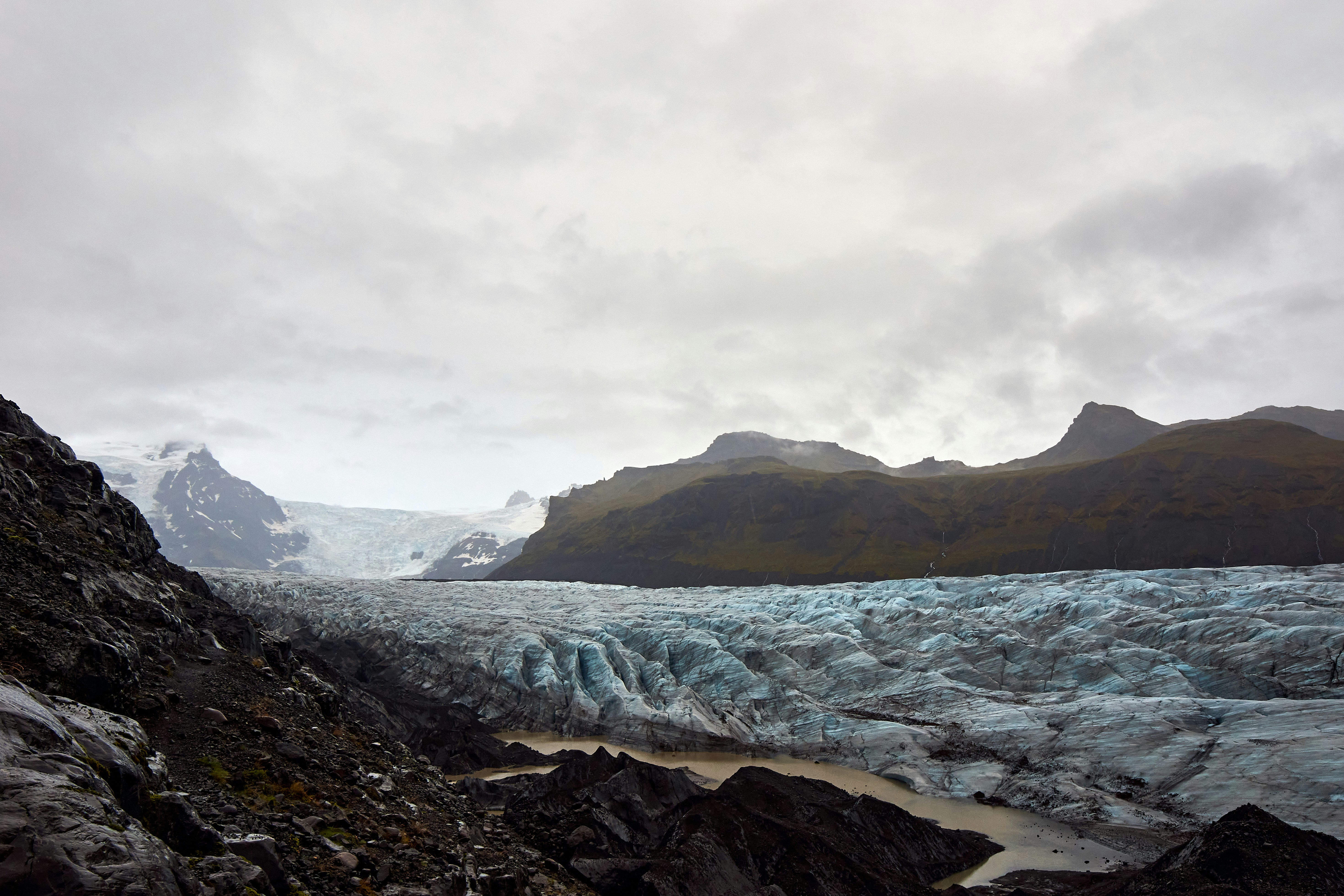 Photo by wolfgang_hasselmann