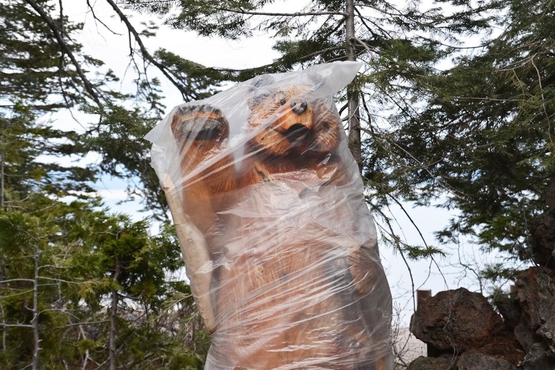 white plastic bag on brown tree trunk