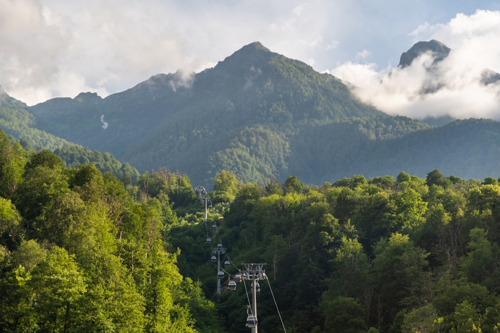 green trees on mountain under white clouds during daytime