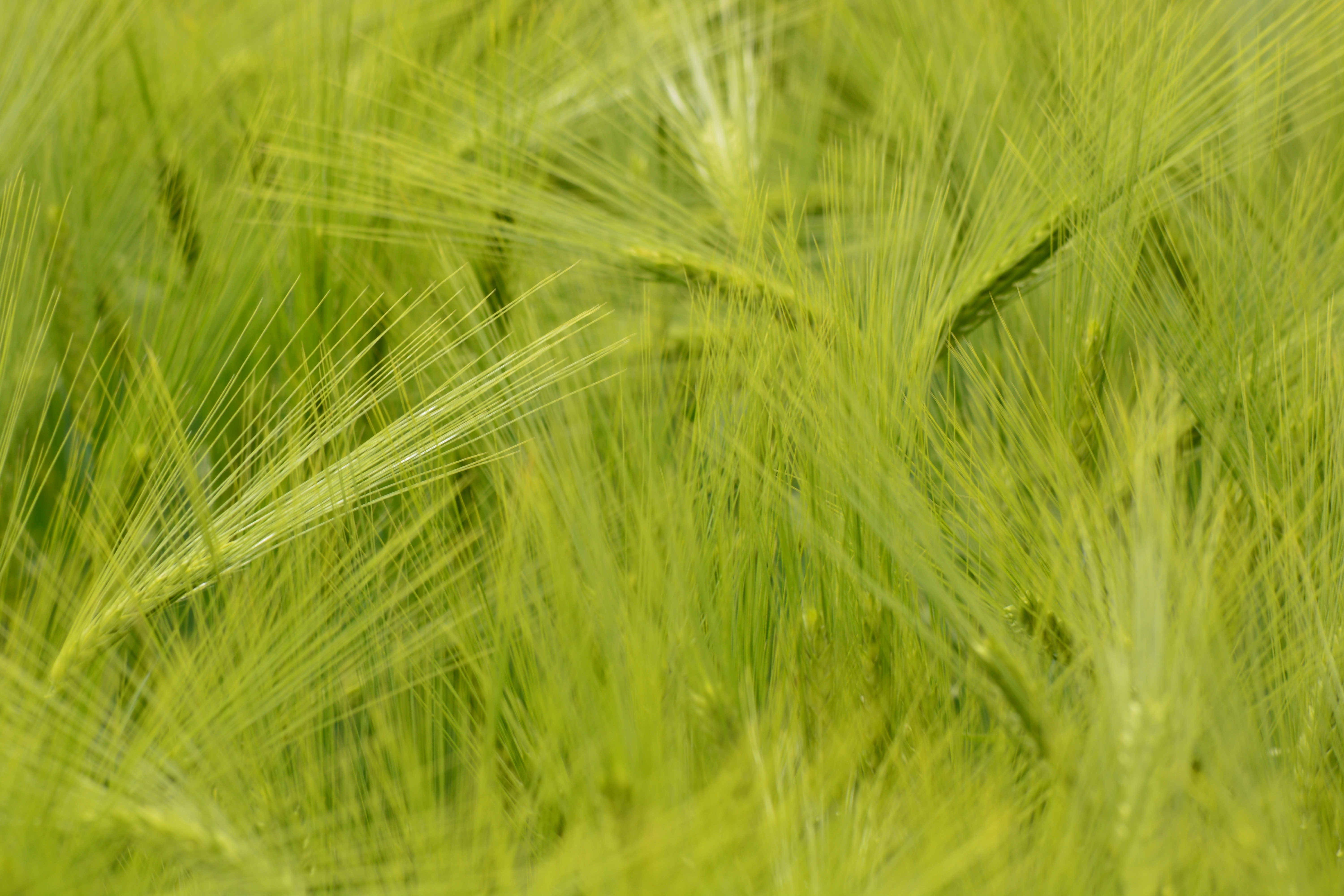 Photo by pedrino5_official