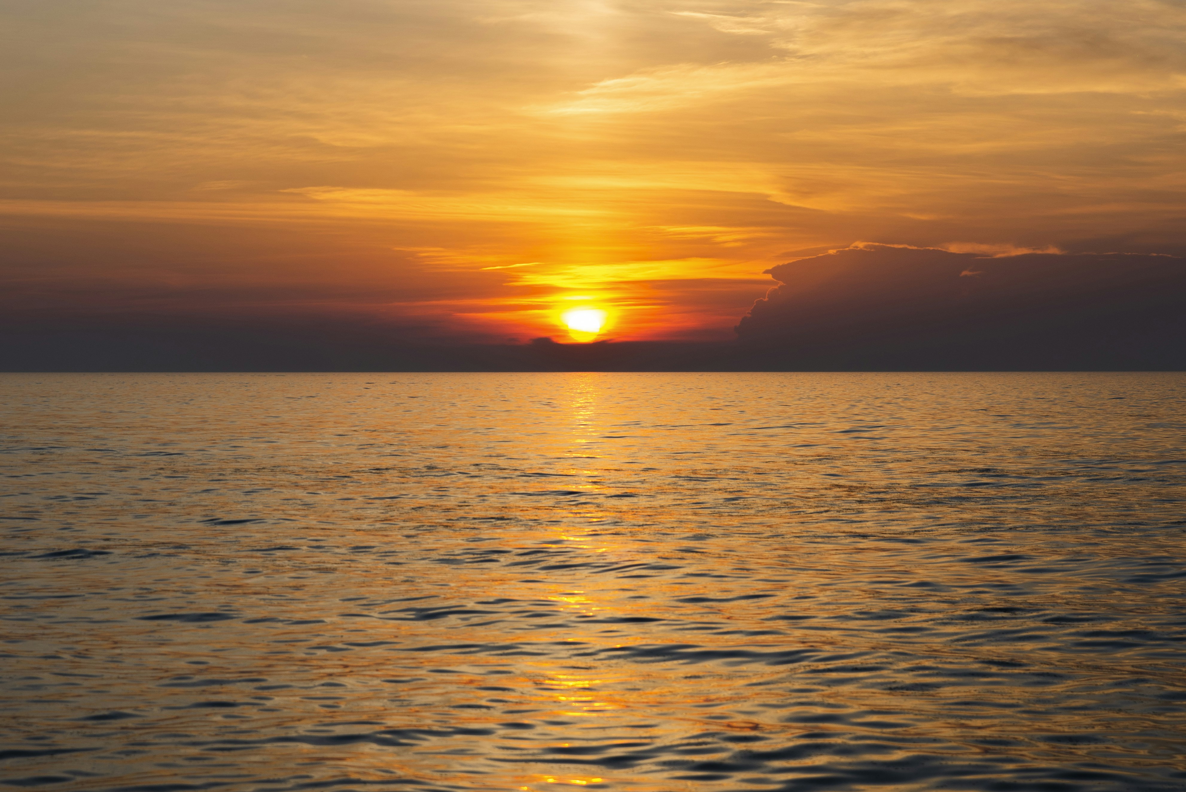 Photo by mattharveyphoto