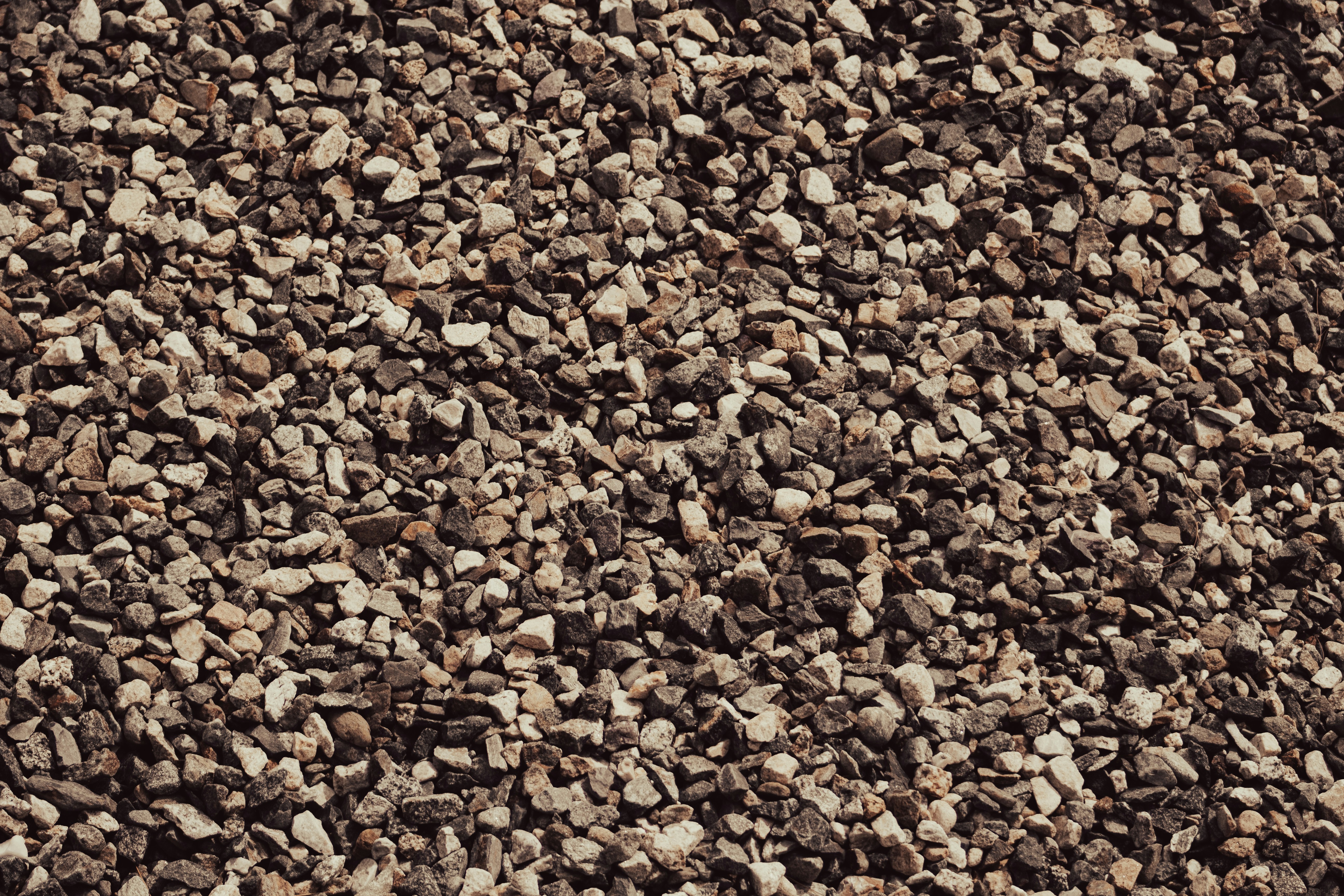 Photo by brianwangenheim