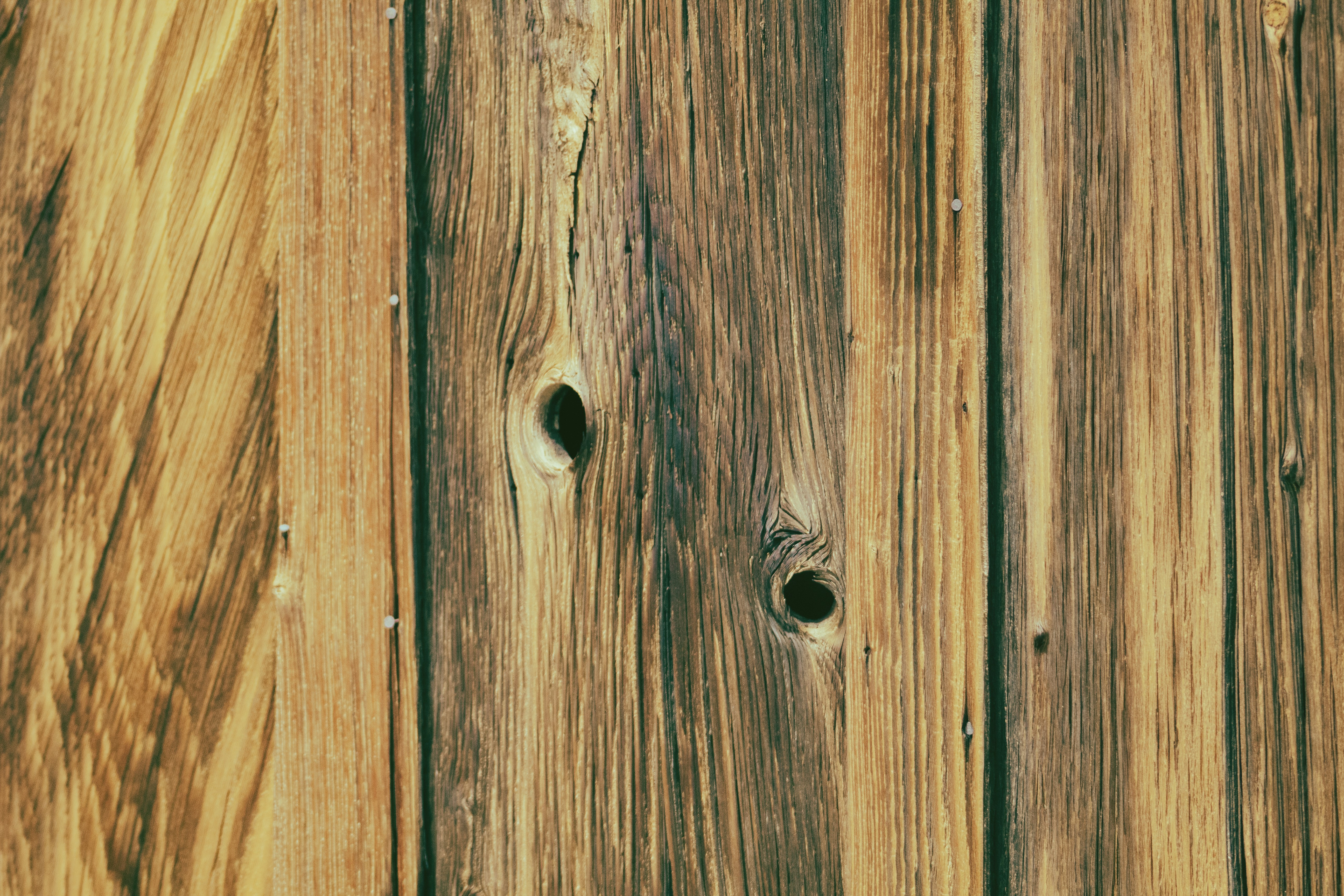 Photo by brianwangenheim