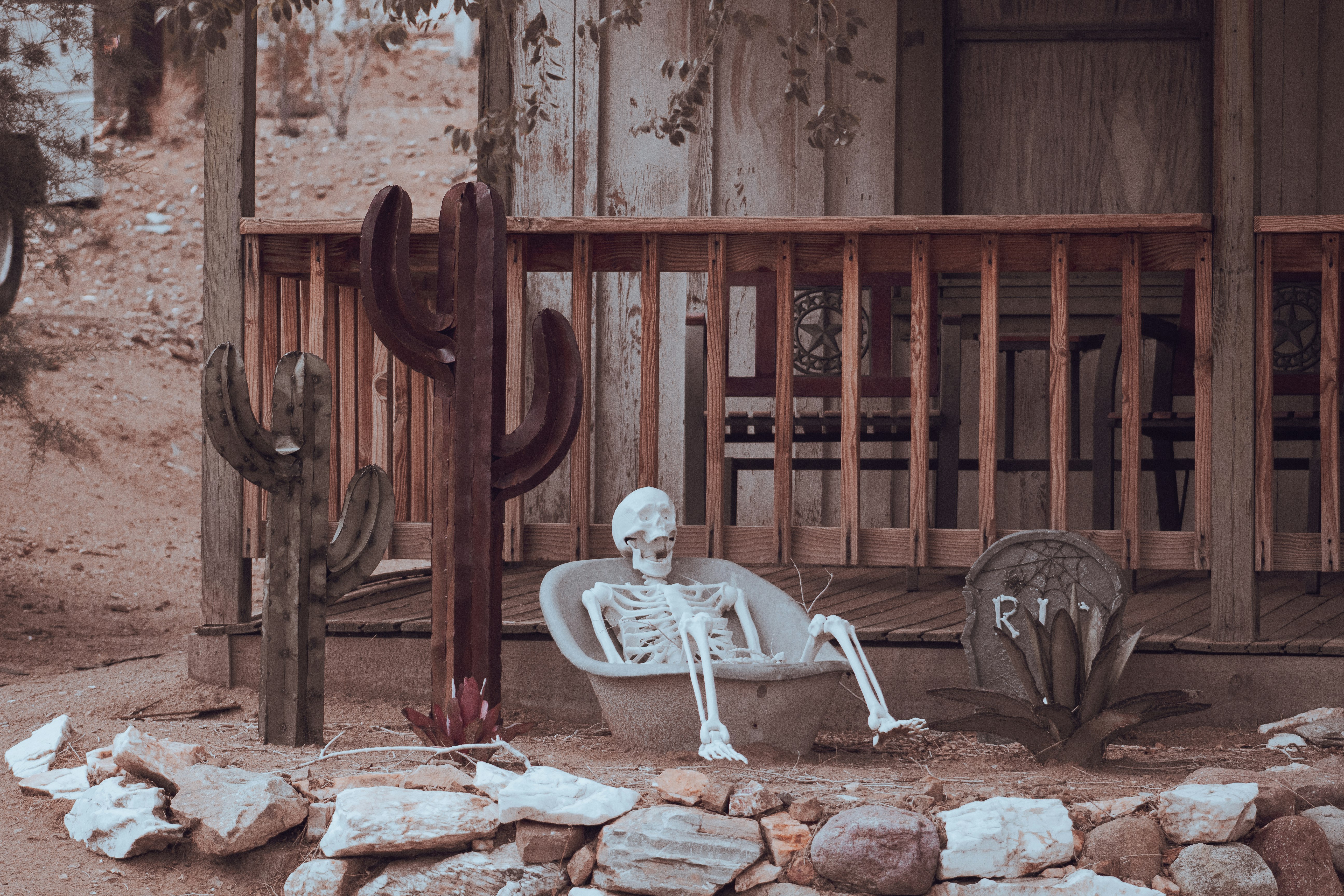 man sitting on brown wooden bench