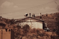 Empire State Roofing