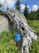 A metal cup and a camping stove with a pot are placed on a weathered log against a backdrop of rocks and greenery. Tall evergreen trees and a partly cloudy blue sky add to the natural setting.