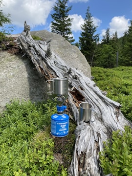 A metal cup and a camping stove with a pot are placed on a weathered log against a backdrop of rocks and greenery. Tall evergreen trees and a partly cloudy blue sky add to the natural setting.