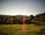 A serene landscape featuring a grassy field in the foreground, with scattered bushes and dense trees further back. Rolling hills stretch across the middle of the scene, under a clear sky. A vertical light leak runs prominently through the center of the image, adding an ethereal touch to the natural setting.