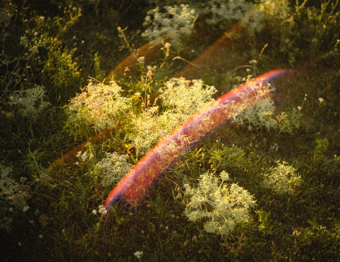 Underwater photo spot Eger Hungary