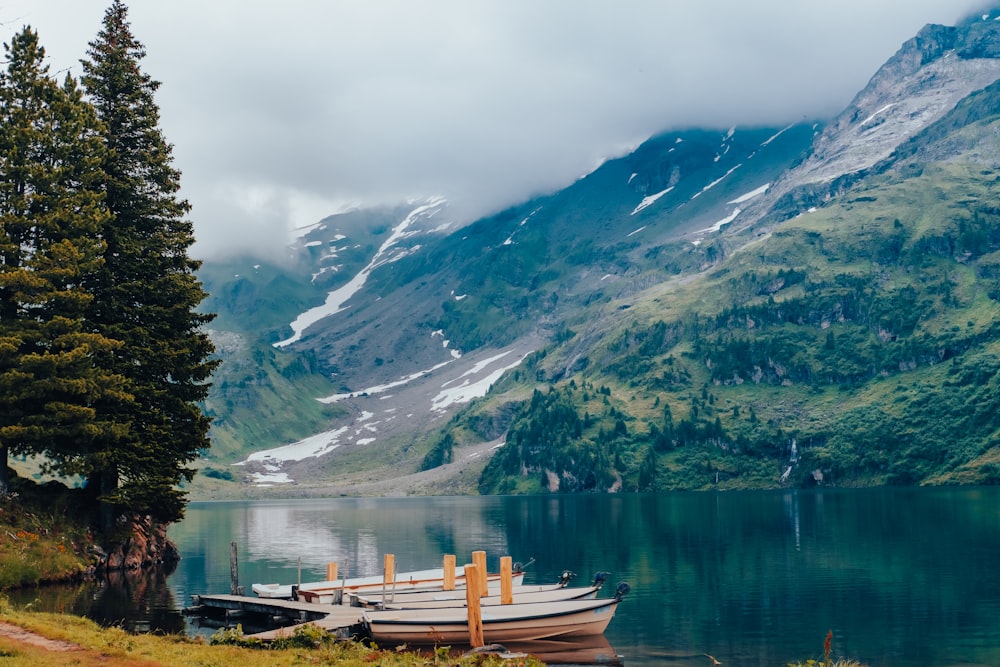 brown wooden boat on lake near green trees and mountains during daytime