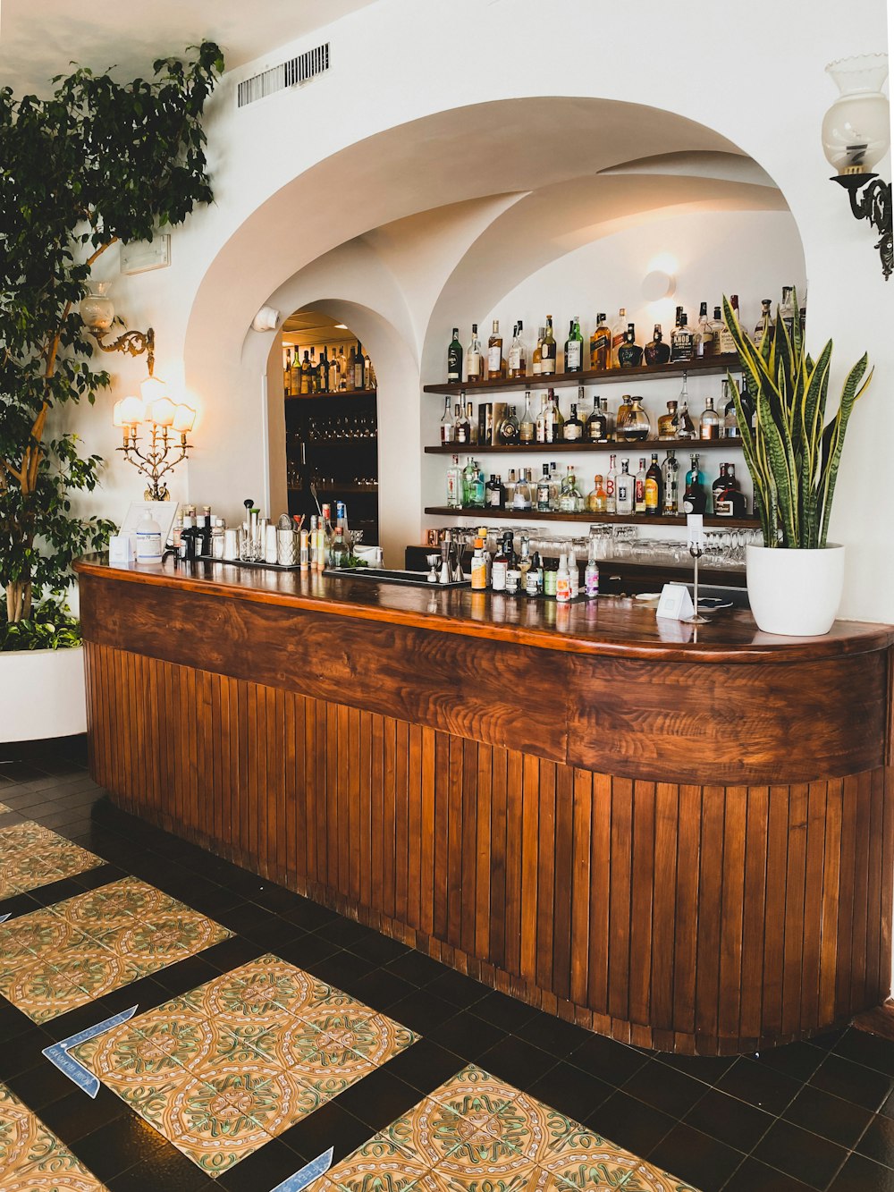 brown wooden counter desk with bottles and green plants