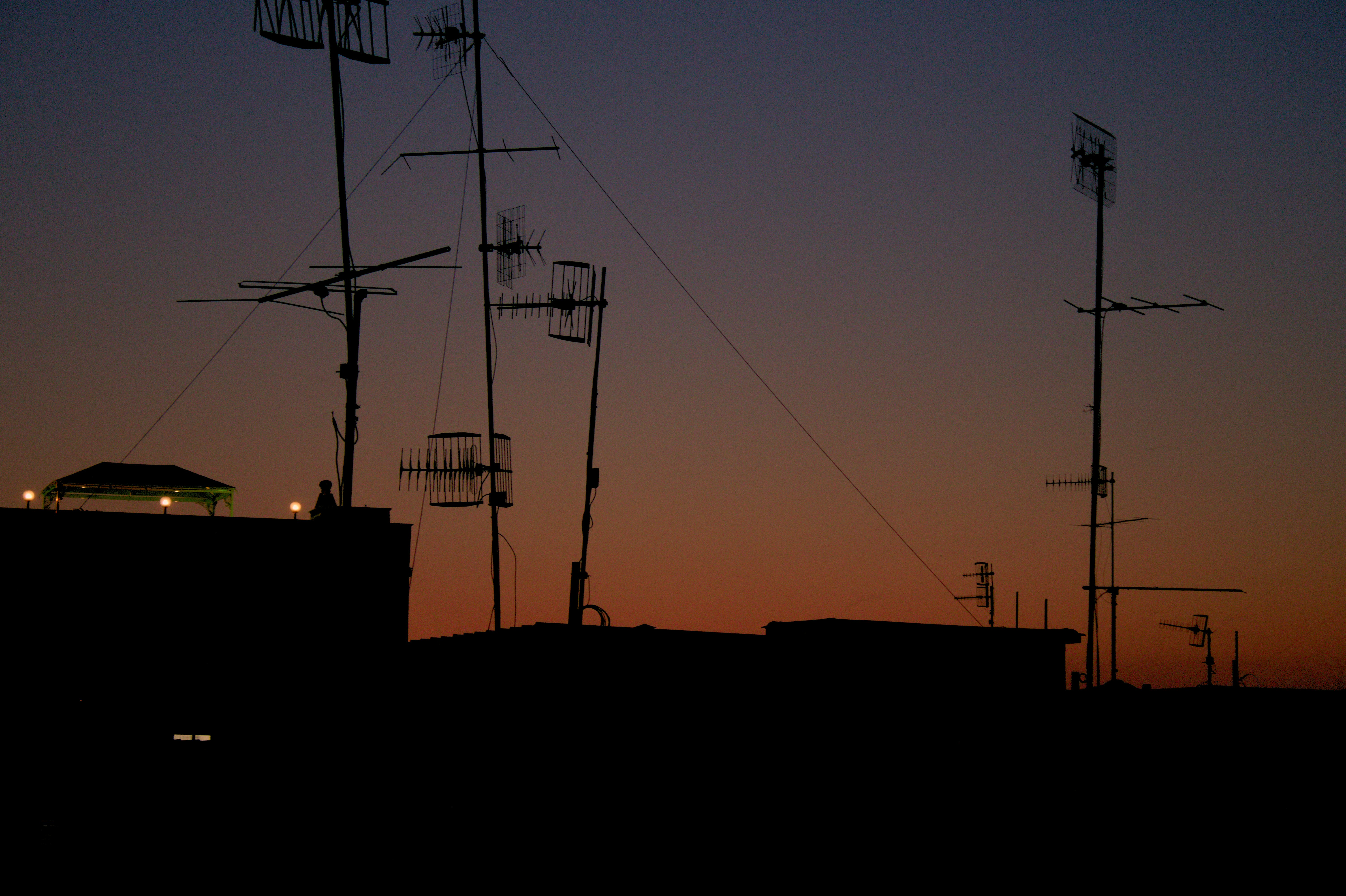 Photo by backsofangels