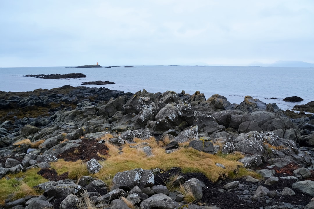 rocky shore under white sky during daytime