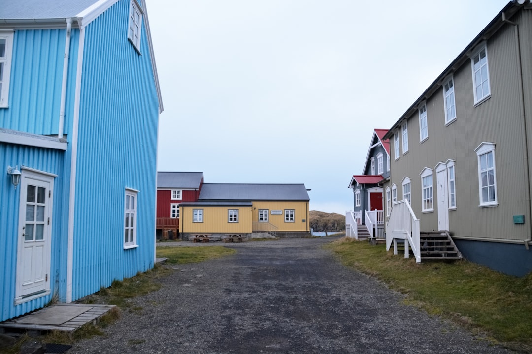 blue and brown houses near green grass field during daytime