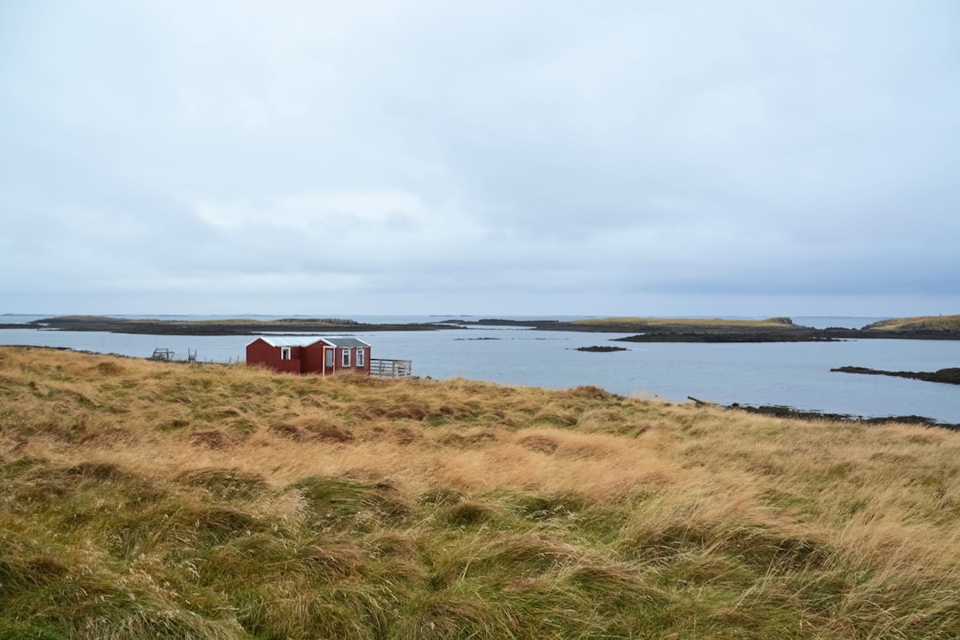 red and white house near body of water during daytime