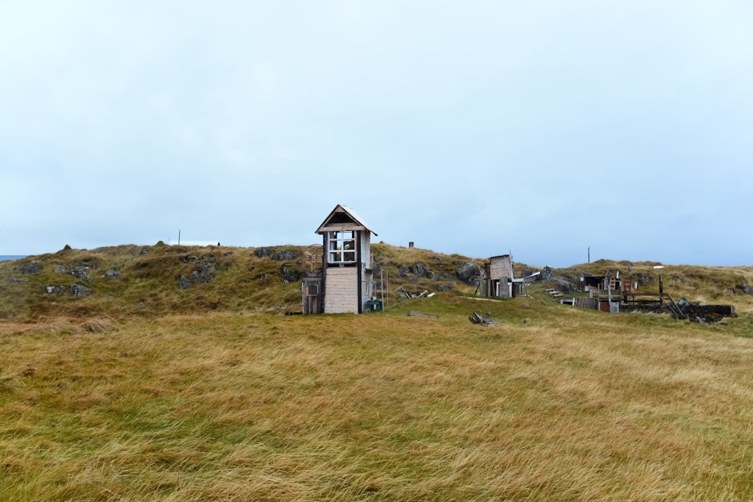 white and black house on green grass field under white sky during daytime