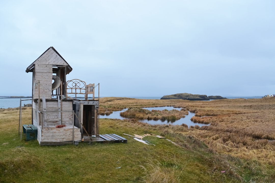 white wooden house on green grass field near lake under white sky during daytime