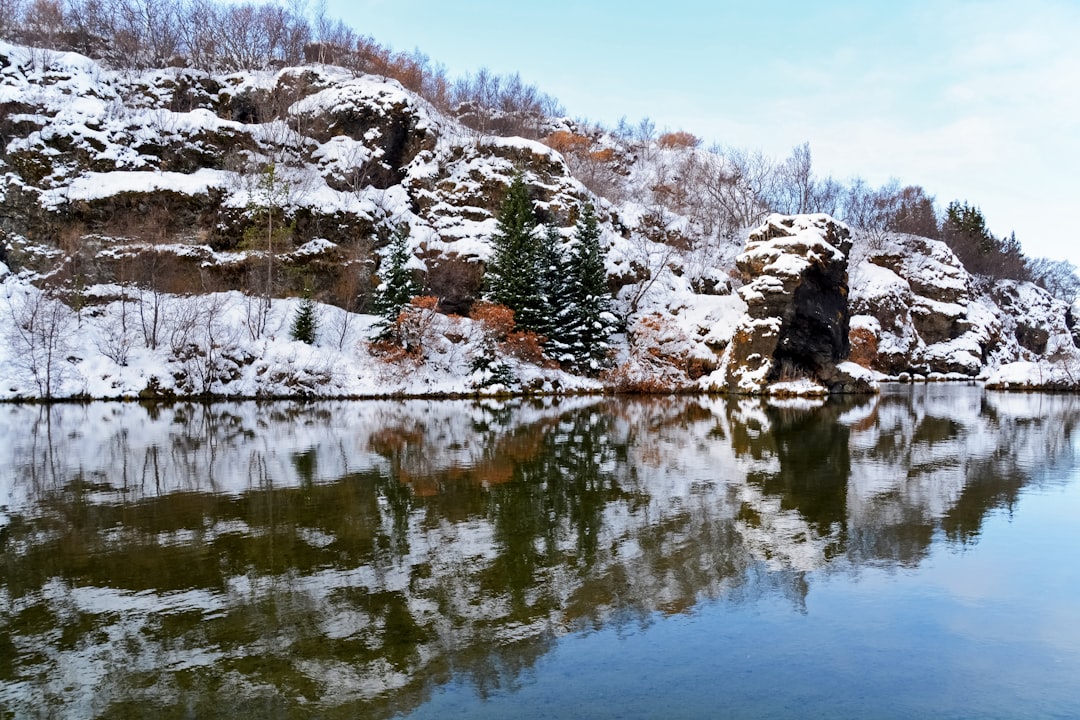 brown and white rock formation near body of water during daytime