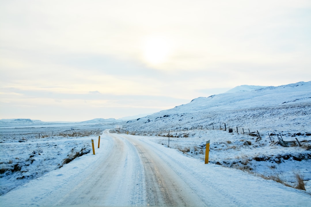 snow covered road during daytime