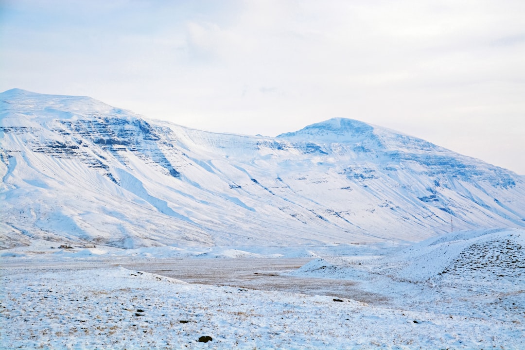 brown and white mountain under white sky during daytime