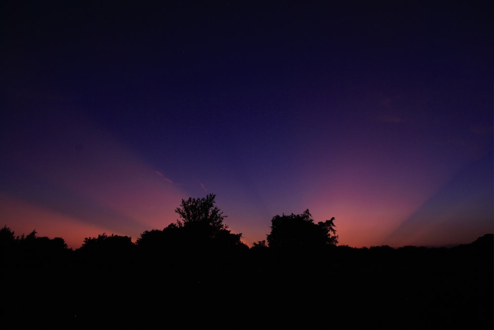 Silueta de árboles durante la puesta del sol