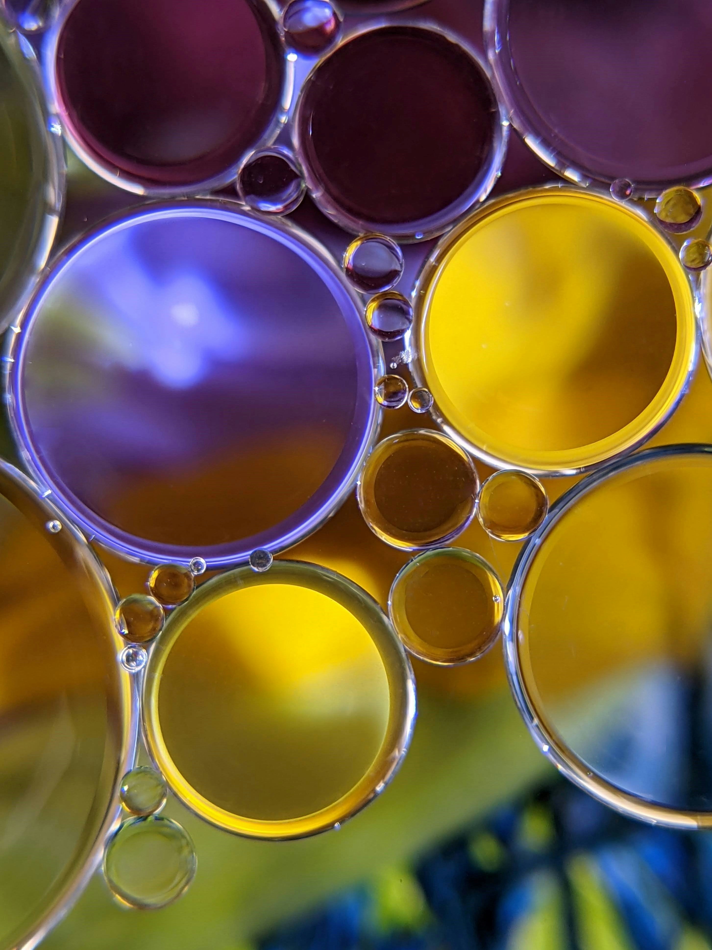 Photo by susan_wilkinson